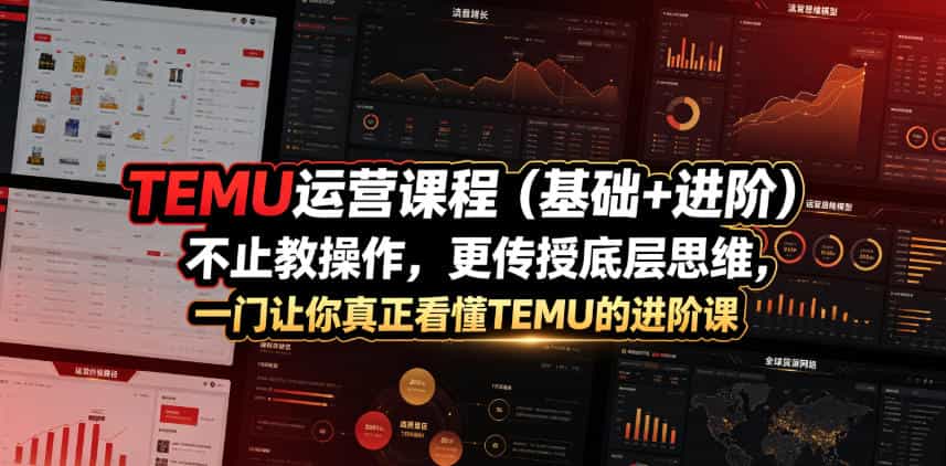TEMU运营课程(基础+进阶),不止教操作,更传授底层思维,一门让你真正看懂TEMU的进阶课