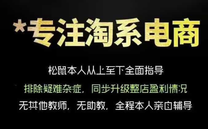 松鼠会电商VIP课程,从基础布局到高阶优化,助你掌握淘宝运营逻辑,提升店铺流量与转化(更新0626)