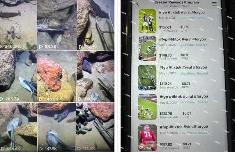 Tiktok中视频解说教程,体育+温情文案双赛道实操教程一站式带你落地,教你出海賺美刀