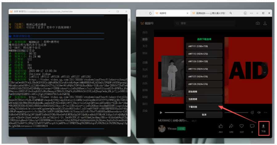 Github热门工具,视频号下载神器又来了!一键注入下载按钮,轻松下载,使用便捷wx_channel