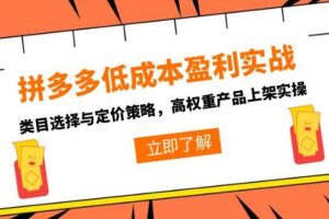 （15143期）拼多多低成本盈利实战，类目选择与定价策略，高权重产品上架实操