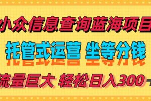 （15216期）稳定日入300＋，小众信息查询蓝海项目，全程懒人式托管，解放你的时间