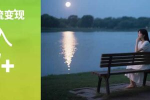 （15229期）情感粉引流变现实操课：单月变现6w+，情感粉引流变现实操课