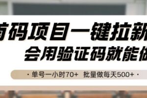首码项目一键拉新，会用验证码就能做 单号一小时70+，批量做每天5张【揭秘】