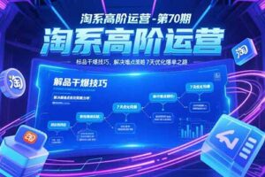 （15307期）淘系高阶运营-第70期，标品干爆技巧，解决难点策略，大佬操盘方法