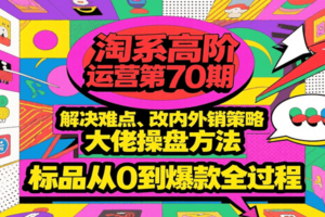 淘系高阶运营第70期，解决难点、改内外销策略，大佬操盘方法，标品从0到爆款全过程
