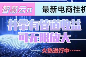 （15314期）智慧云π电脑挂机单机每天收益300—500+ 并带有团队管道收益 可无限放大
