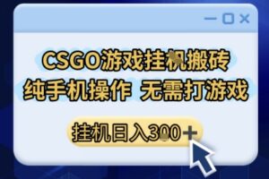 CSGO游戏挂G搬砖，小白纯手机即可操作，不用电脑打游戏，日入3张+，副业网创项目【揭秘】