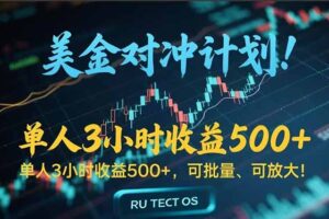 （15321期）长久稳定的撸美金项目，平均3小时收入 500+，可公司实地考察实地操作！