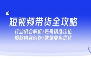 短视频带货全攻略，行业机会解析/账号精准定位/爆款内容创作/数据复盘优化