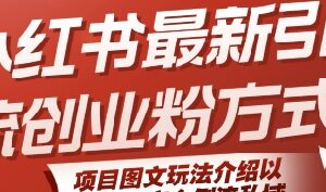 小红书最新引流创业粉方式，项目图文玩法介绍以及如何安全倒流私域