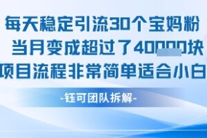 每天稳定引流30个人 当月变成超过了4个W项目流程非常简单适合小白