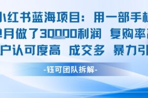 小红书蓝海项目，一部手机单月做了3W利润，小白也能月入过1W用户认可度高成交多