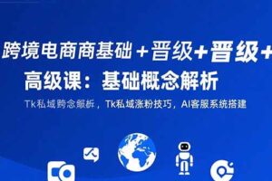 （15496期）跨境电商基础+晋级+高级课：基础概念解析,Tk私域涨粉技巧,AI客服系统搭建
