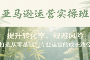 亚马逊运营实操班，提升转化率、规避风险，打造从零基础到专业运营的成长路径