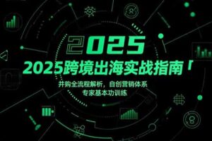 （15503期）2025跨境出海实战指南，并购全流程解析，自创营销体系，专家基本功训练