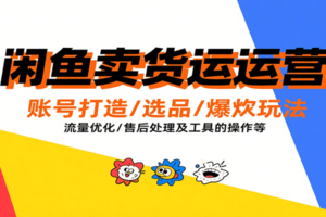 闲鱼卖货运营，账号打造/选品/爆款玩法/流量优化/售后处理及工具实操等