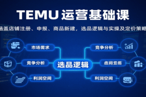 TEMU运营基础课：涵盖店铺注册、申报、商品新建，选品逻辑与实操及定价策略等