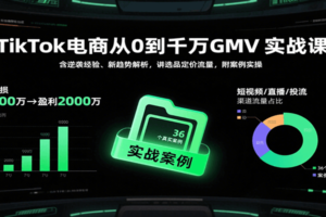 TikTok电商从0到千万GMV实战课，含逆袭经验、新趋势解析，讲选品定价流量，附案例实操