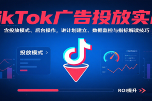 TikTok广告投放实战，含投放模式、后台操作，讲计划建立、数据监控与指标解读技巧