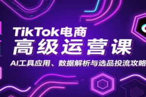 TikTok电商高级运营课：AI工具应用、数据解析与选品投流攻略