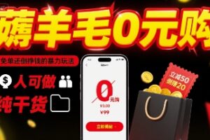 薅羊毛0元购，免单还倒挣钱的暴力玩法，人人可做，纯干货