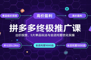 拼多多终极推广课：出价投放、5大单品玩法与全店托管优化实操