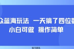 小众蓝海玩法 一天搞了四位数 小白可做 操作简单