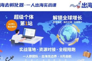 出海去孵化器，一人出海实战课，​超级个体第1站，解锁全球增长