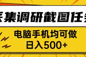 （15868期）采集，调研，截图任务，电脑手机均可做，日入500+