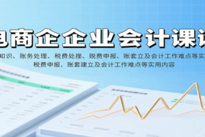 电商企业会计课：基础知识、账务处理、税费申报、账套建立及会计工作难点等实用内容