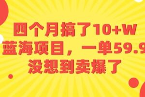 四个月搞了10+W的蓝海项目，一单59.9米，没想到卖爆了