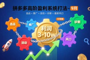 （15916期）拼多多高阶盈利系统打法-9月：选品+推广+活动+诊断+最新风口，月利润3-10w