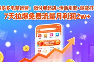 （15960期）拼多多电商运营：微付费起店+活动引流+爆款打造 7天拉爆免费流量月利润2w+