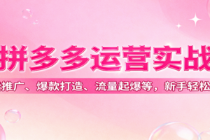 拼多多运营实战，付费推广、爆款打造、流量起爆等，新手轻松起店
