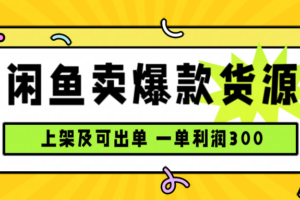 （15977期）闲鱼卖爆款货源，每天利润1000，上架即出单
