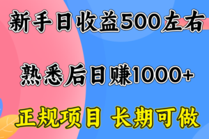 （15978期）一台电脑，前期日收益300-500，熟练后日入1000左右