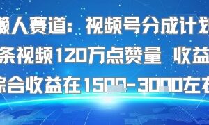 懒人赛道：视频号分成计划单条视频120W点赞量 收益高综合收益在1.5K左右