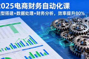 （16021期）2025电商财务自动化课，模型搭建+数据处理+财务分析，效率提升80%
