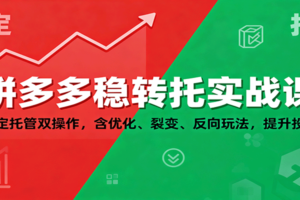 拼多多稳转托实战课：稳定托管双操作，含优化、裂变、反向玩法，提升投产