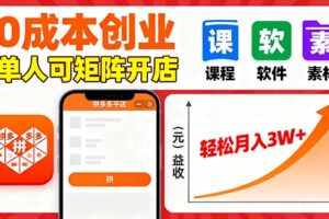 （16047期）拼多多虚拟电商，0成本，单人可矩阵开店，轻松月入3W+