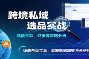跨境私域选品实战：涵盖谷歌、虾皮等策略分析，详解各类工具，掌握数据洞察与分析技巧