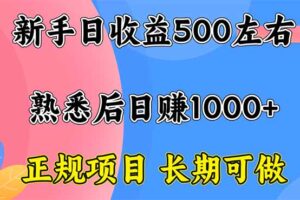 （16132期）新手日收益500+ 正规项目 长期可做