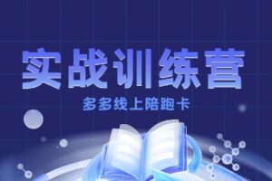 多多实战训练营，从0到1打造一个真正賺钱的店铺