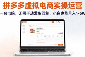 （16138期）拼多多虚拟电商实操运营，一台电脑，无需手动发货回复，小白也能月入1-5W