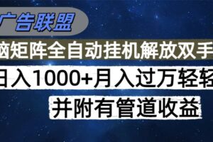 （16208期）海外广告联盟每天几分钟日入1000+无脑操作，可矩阵并附有管道收益