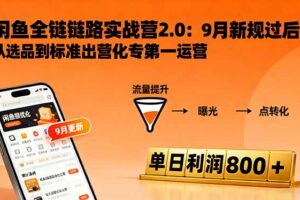 (16265期)闲鱼变现课3.0:掌握链接优化、流量提升、商业变现,单日利润800+