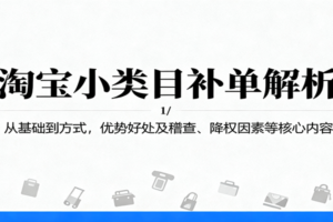 淘宝小类目补单解析：从基础到方式，优势好处及稽查、降权因素等核心内容