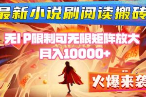 （16237期）小说阅读搬砖单机每天收益200-400+ 无IP限制可无限矩阵放大 —