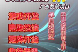 （16175期）抖音小游戏广告推广项目，2025最新实测落地，单日收益300+